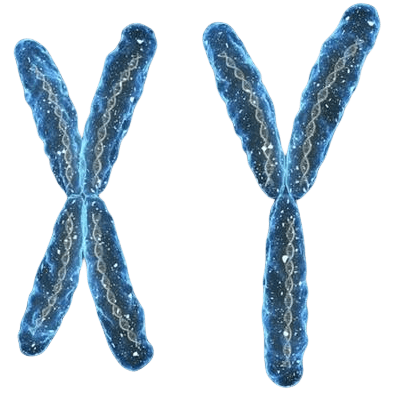 重庆供卵试管机构